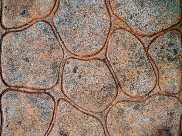 Decorative Concrete Driveway