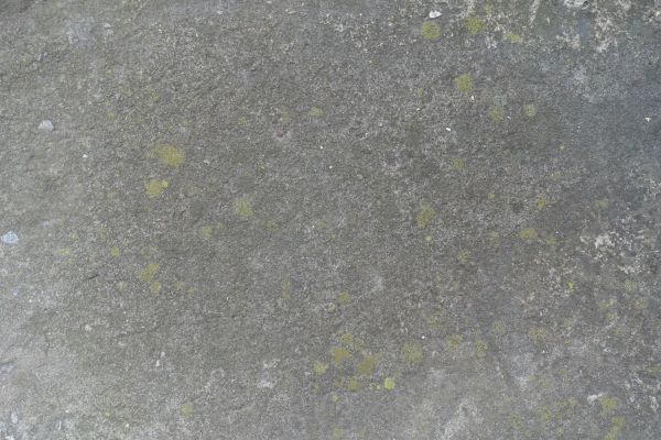 Cost of Slab Staining Service in Naples